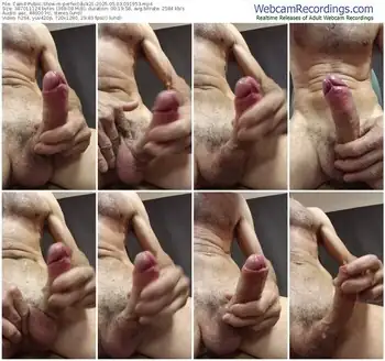 cam4-perfectdick21-05-03-2025-09-19-53