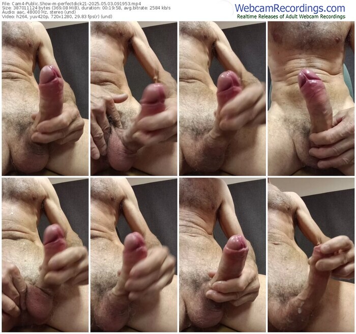 cam4-perfectdick21-05-03-2025-09-19-53