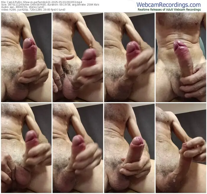 cam4-perfectdick21-05-03-2025-09-19-53