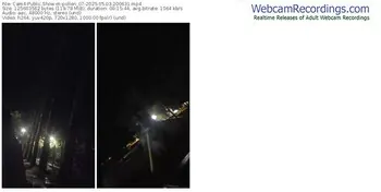 cam4-pollen_07-05-03-2025-20-06-31