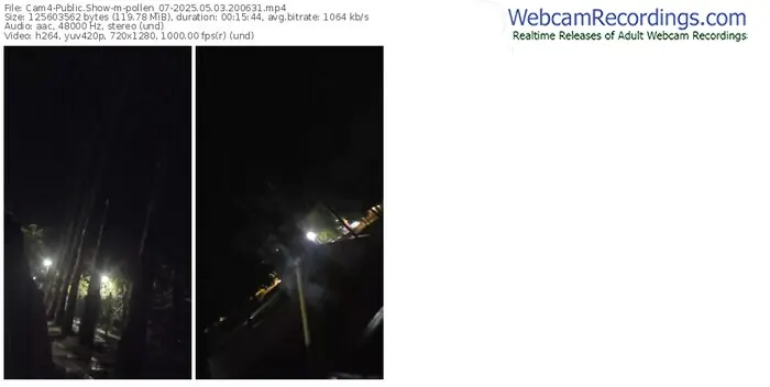 cam4-pollen_07-05-03-2025-20-06-31