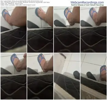 cam4-loirofortal085-05-04-2025-02-20-41