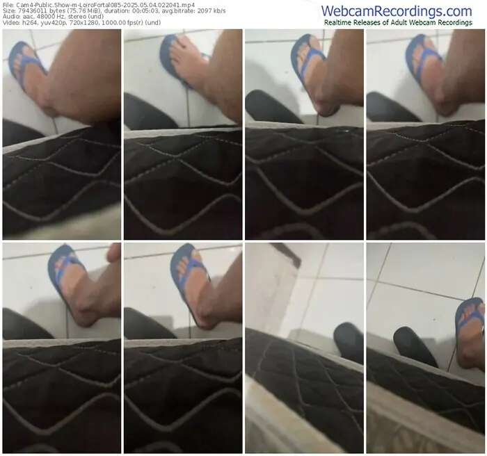 cam4-loirofortal085-05-04-2025-02-20-41