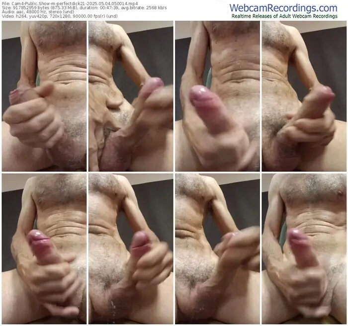 cam4-perfectdick21-05-04-2025-05-00-14
