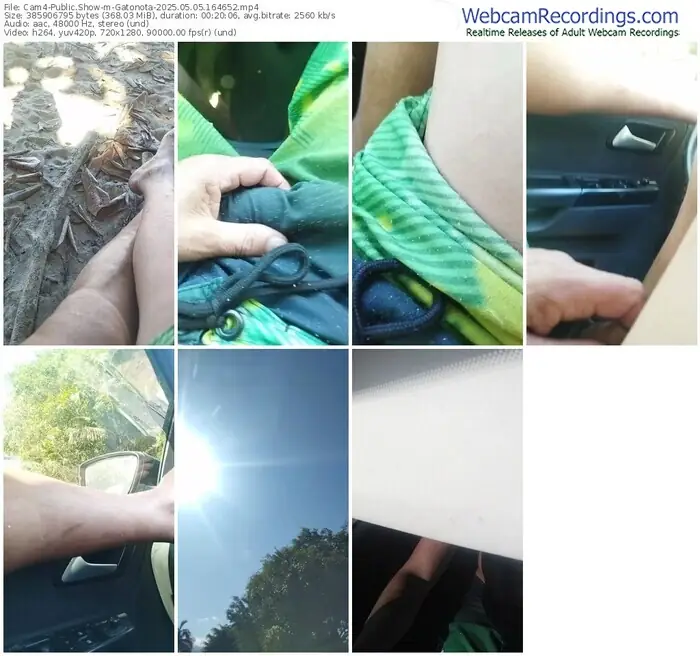 cam4-gatonota-05-05-2025-16-46-52