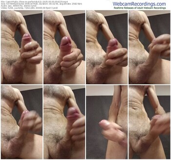 cam4-perfectdick21-05-05-2025-05-42-29