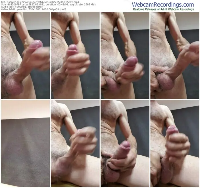 cam4-perfectdick21-05-06-2025-15-56-26