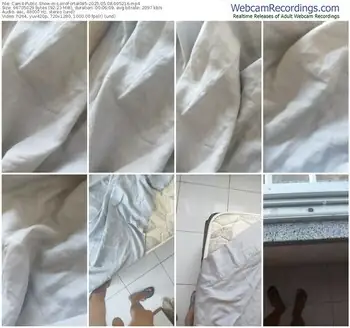 cam4-loirofortal085-05-08-2025-09-52-16