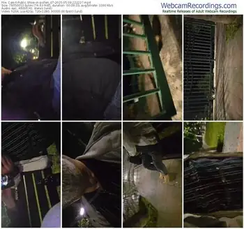 cam4-pollen_07-05-09-2025-22-22-27