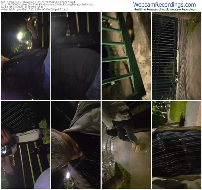 cam4-pollen_07-05-09-2025-22-22-27