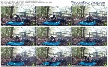 cam4-britishhapyend-05-11-2025-14-01-50