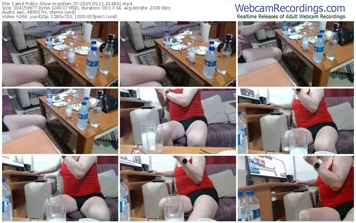 cam4-pollen_07-05-11-2025-21-48-41