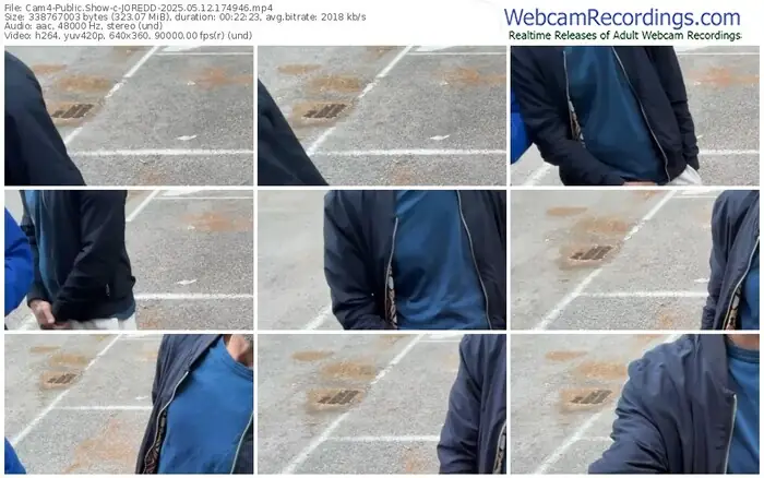 cam4-joredd-05-12-2025-17-49-46