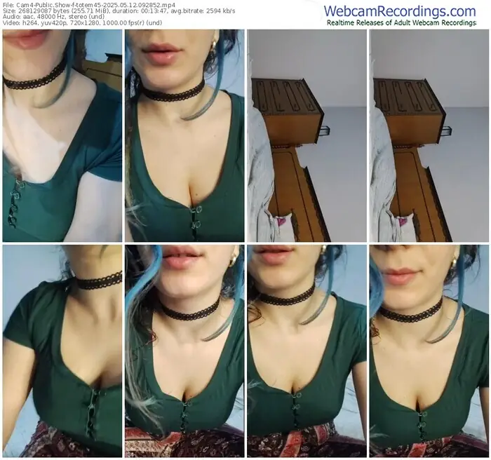 cam4-totem45-05-12-2025-09-28-52