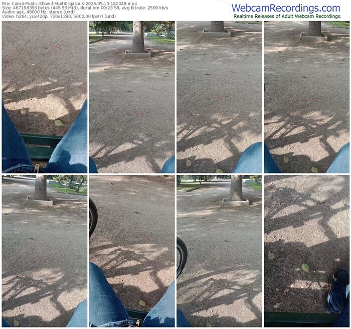 cam4-multi0rgasmik-05-13-2025-18-20-48