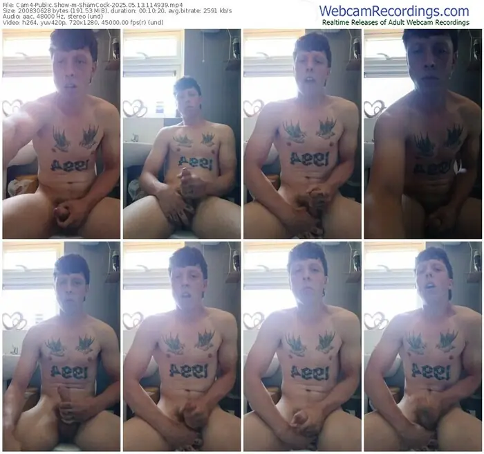 cam4-shamcock-05-13-2025-11-49-39