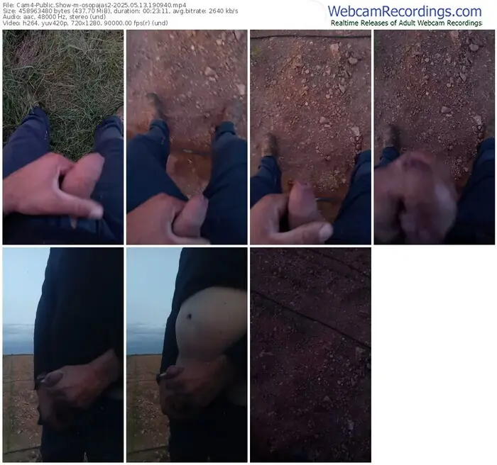 cam4-osopajas2-05-13-2025-19-09-40