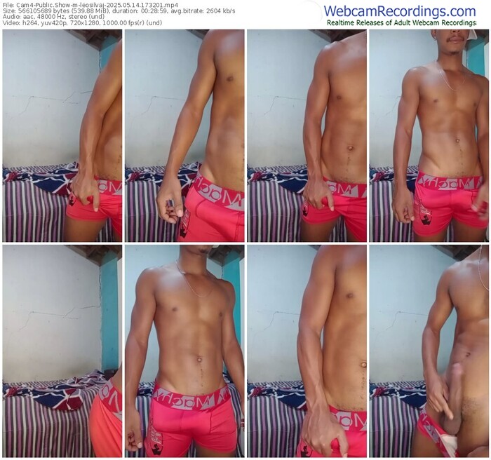 cam4-leosilvaj-05-14-2025-17-32-01