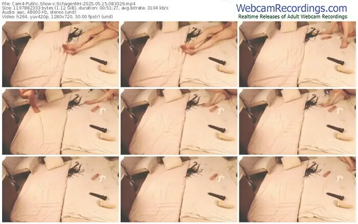 cam4-schagennh-05-15-2025-08-33-29