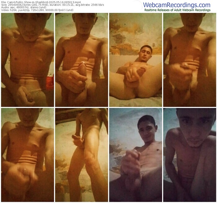 cam4-sharkbird-05-16-2025-06-50-13