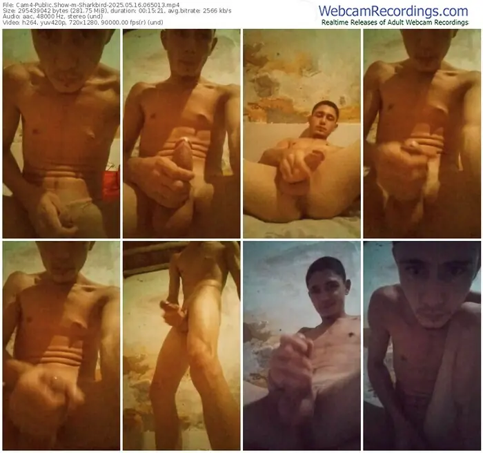 cam4-sharkbird-05-16-2025-06-50-13