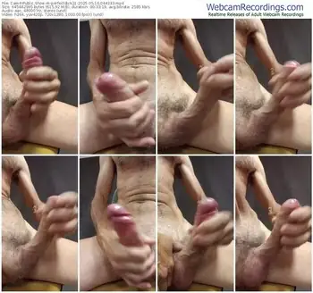 cam4-perfectdick21-05-16-2025-04-43-33