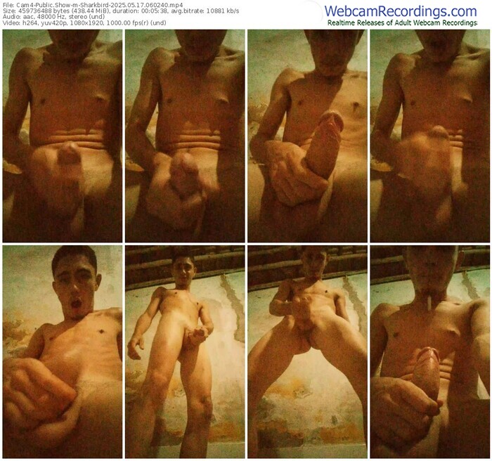 cam4-sharkbird-05-17-2025-06-02-40