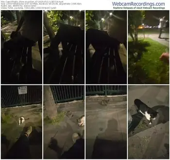 cam4-pollen_07-05-17-2025-18-57-19