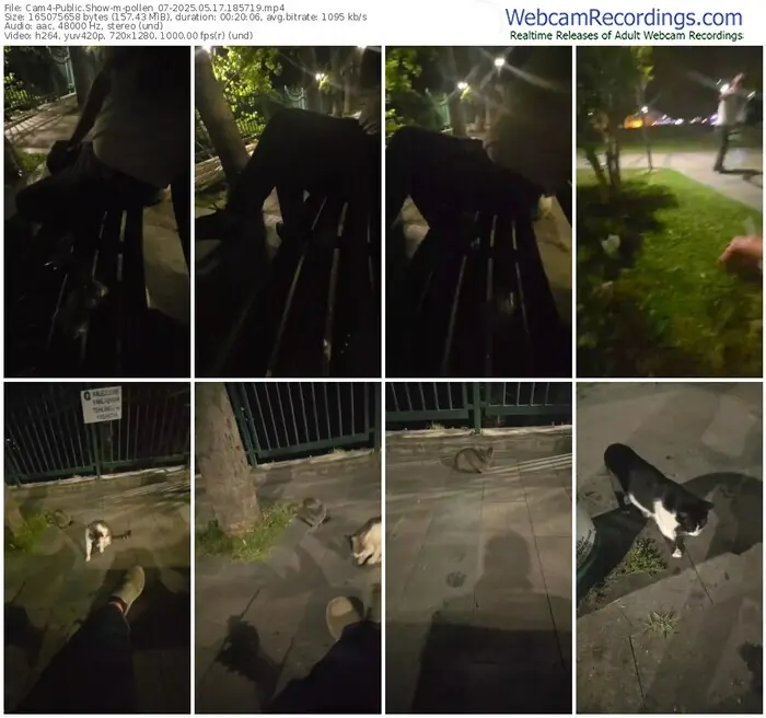 cam4-pollen_07-05-17-2025-18-57-19