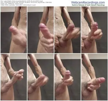 cam4-perfectdick21-05-18-2025-14-05-02