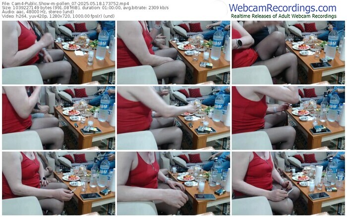 cam4-pollen_07-05-18-2025-17-37-52