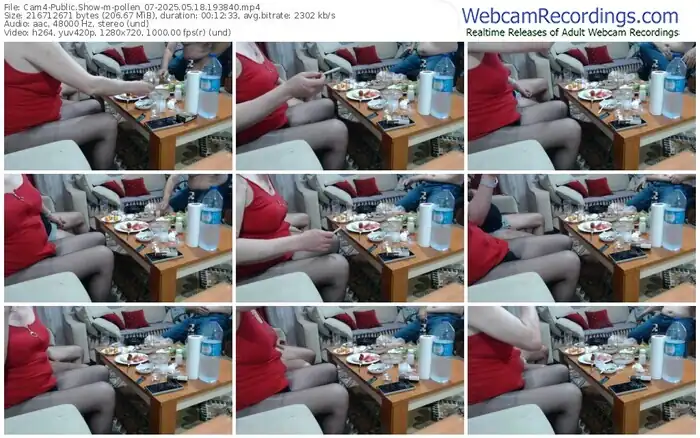 cam4-pollen_07-05-18-2025-19-38-40