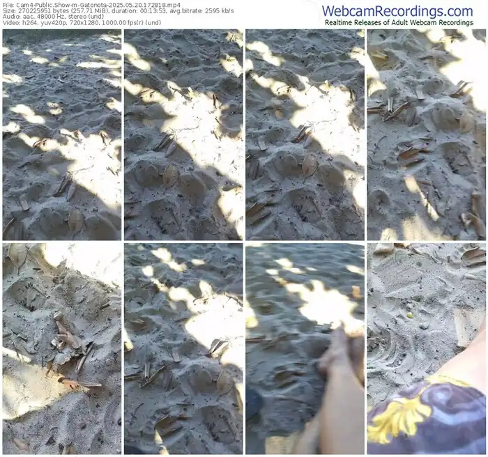 cam4-gatonota-05-20-2025-17-28-18