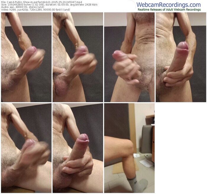 cam4-perfectdick21-05-20-2025-04-53-47
