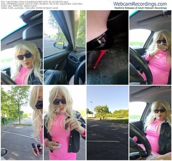 cam4-devbidwt1984-05-20-2025-06-52-02