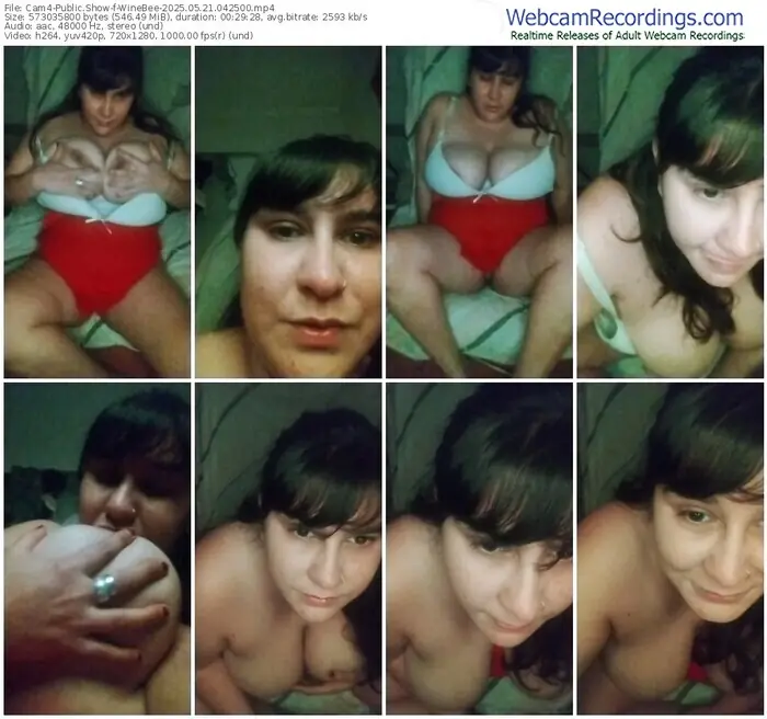 cam4-winebee-05-21-2025-04-25-00