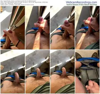 cam4-wildm3-05-21-2025-08-01-54