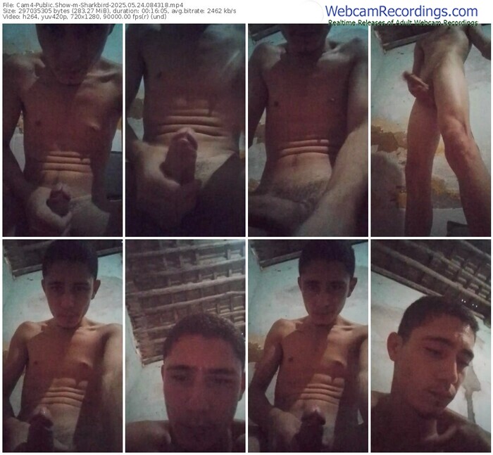 cam4-sharkbird-05-24-2025-08-43-18