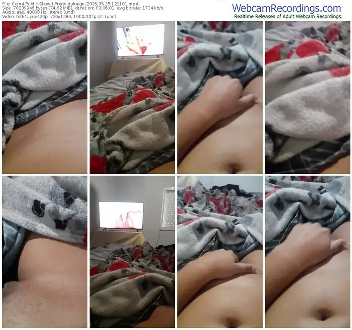 cam4-prendidafuego-05-25-2025-12-11-01