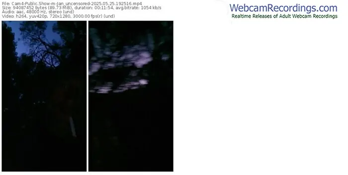 cam4-jan_uncensored-05-25-2025-19-25-16