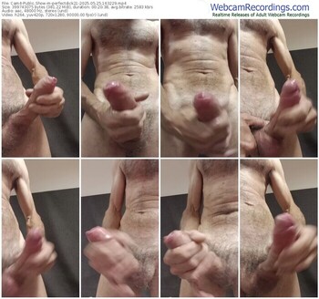 cam4-perfectdick21-05-25-2025-16-32-29