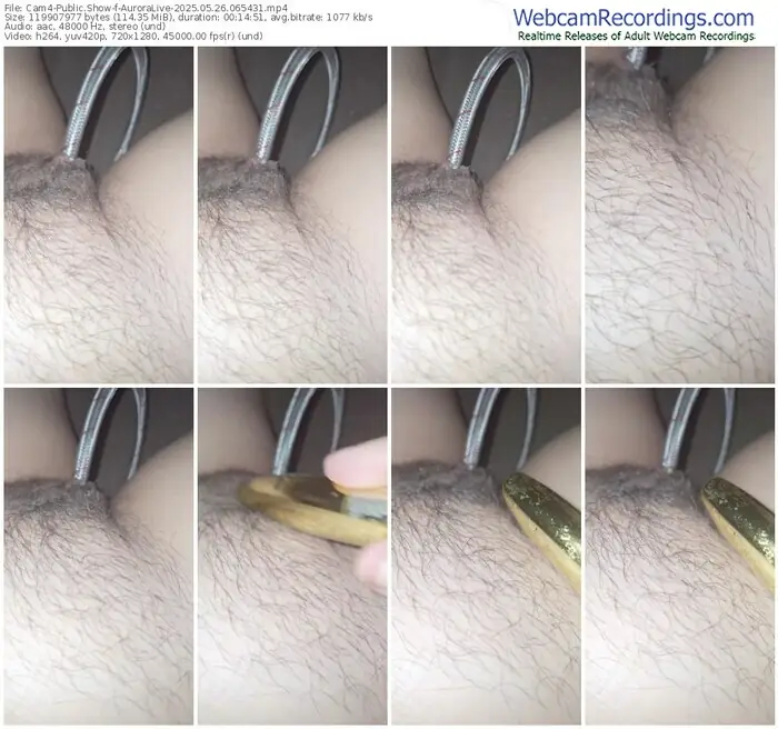 cam4-auroralive-05-26-2025-06-54-31