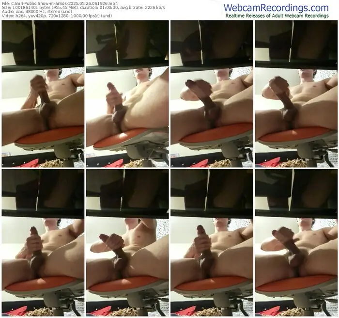 cam4-arnos-05-26-2025-06-19-26