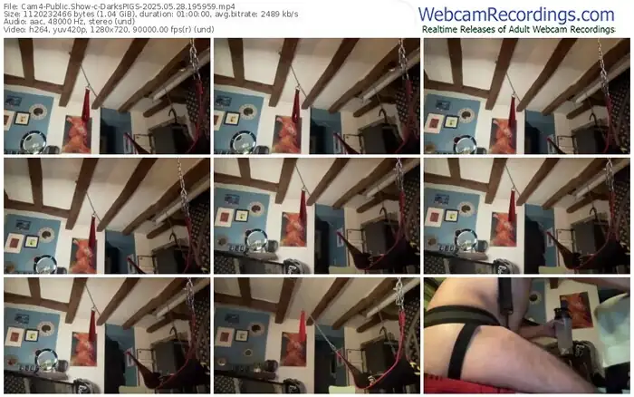 cam4-darkspigs-05-28-2025-19-59-59