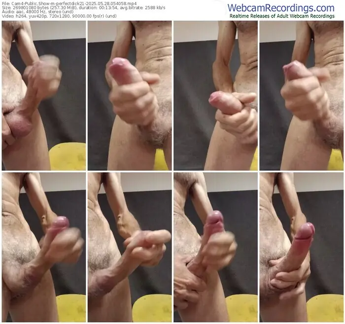 cam4-perfectdick21-05-28-2025-05-40-58