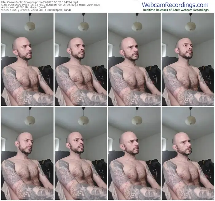 cam4-prime85-05-28-2025-13-47-34