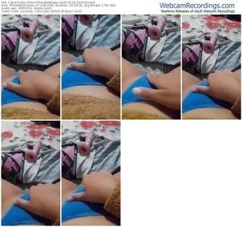 cam4-prendidafuego-05-29-2025-20-02-09