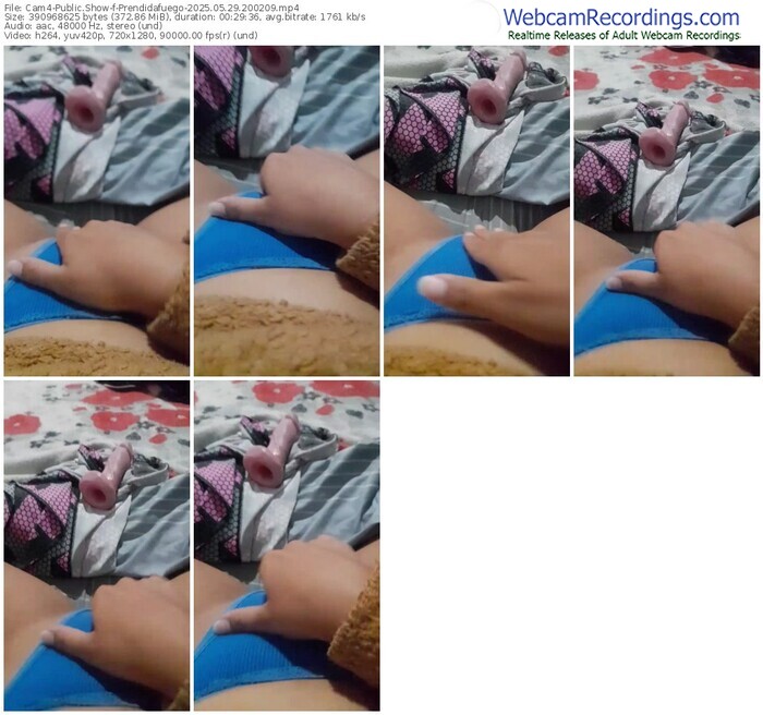 cam4-prendidafuego-05-29-2025-20-02-09