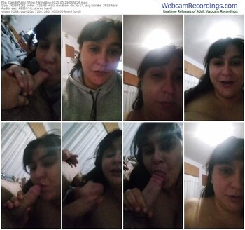 cam4-winebee-05-29-2025-06-58-26