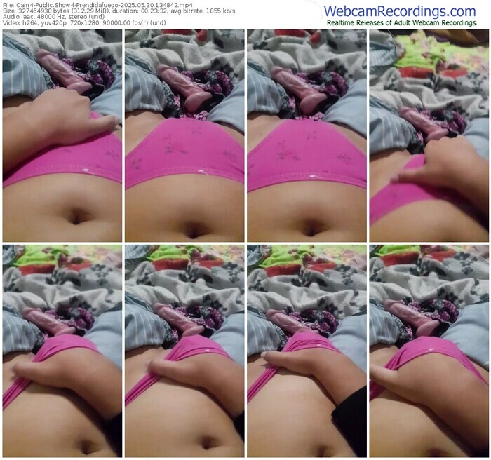 cam4-prendidafuego-05-30-2025-13-48-42
